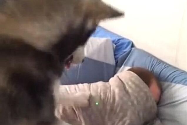 Как оригинально разбудить утром мужа. Ролик, который взорвал интернет