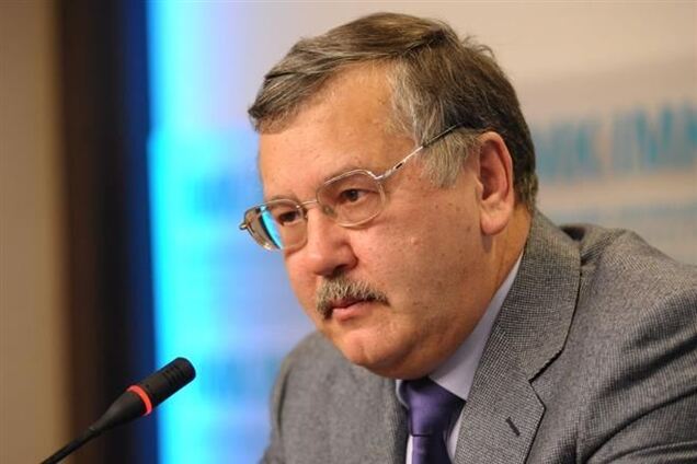 Гриценко: стране нужны силовые структуры для борьбы с незаконными бандформированиями