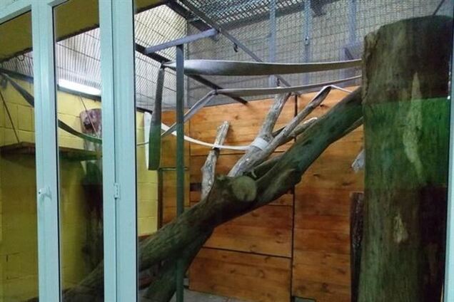 Экс-руководство киевского зоопарка присвоило более 200 тыс. грн