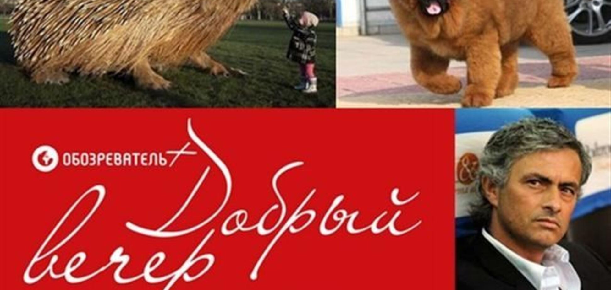 Добрый вечер: Меладзе записал обращение к людям, похитившим в Крыму его друга