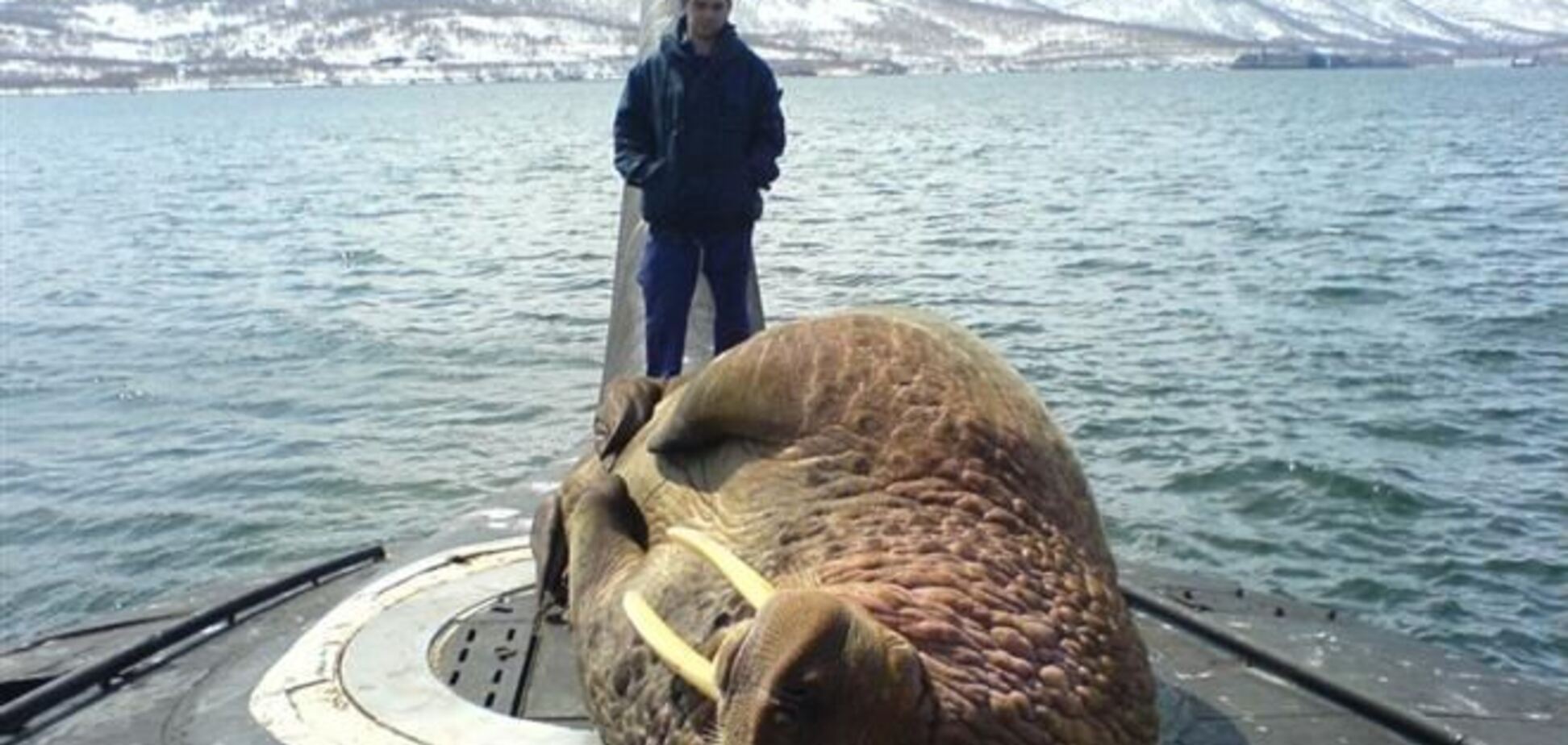 Моряки, перешедшие на сторону РФ, могут служить на Камчатке – замконтр-адмирала ЧФ