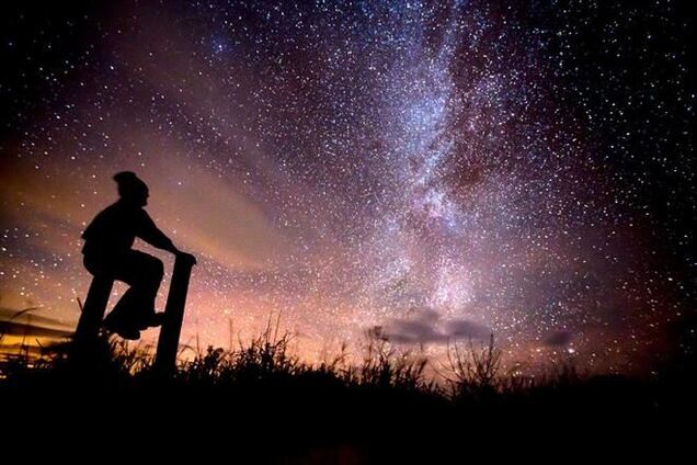 Сцены повседневной жизни, февраль 2014