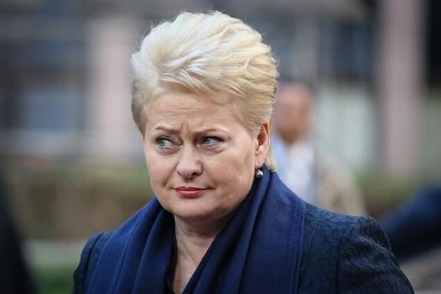 Президент Литвы: ЕС не боится России и готов помогать Украине