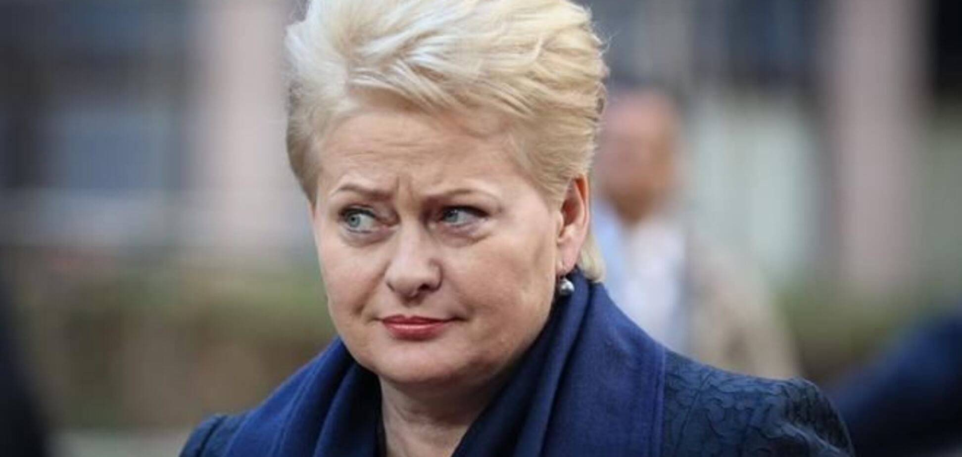 Президент Литвы: ЕС не боится России и готов помогать Украине