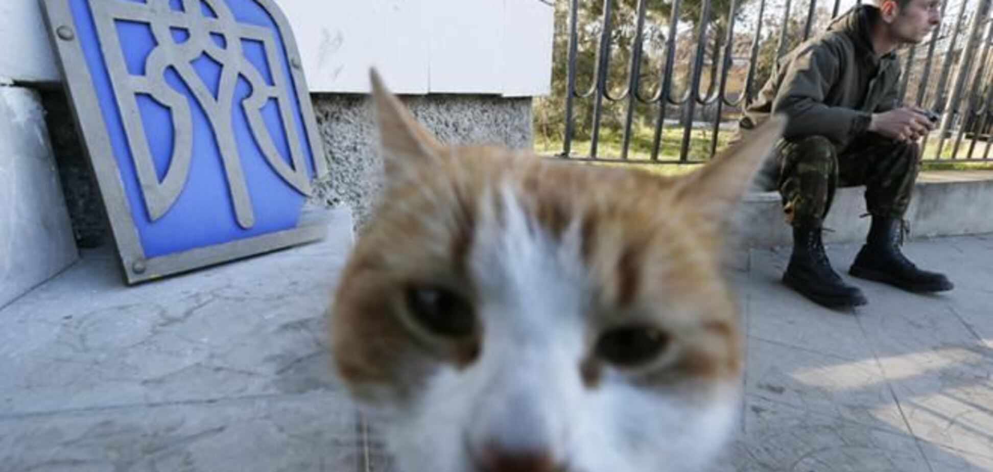 Кремлевские марионетки готовят новую конституцию для Крыма