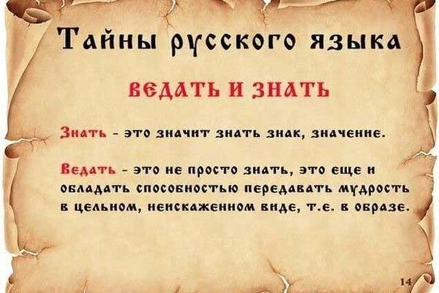 Регионалы предлагают срочно сделать русский язык официальным в Украине