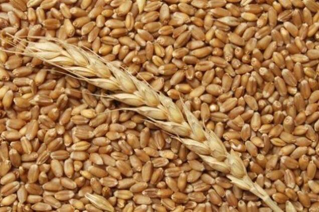 Китай и арабские фонды могут вложить в развитие украинского АПК 50 млрд долл