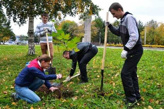 В Николаеве посадят лес в честь героев Небесной Сотни