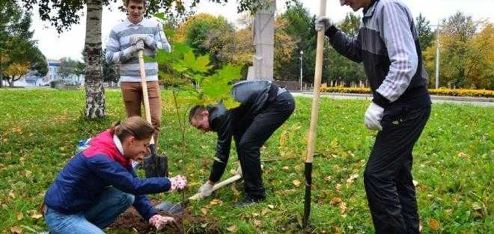 У Миколаєві посадять ліс на честь героїв Небесної Сотні