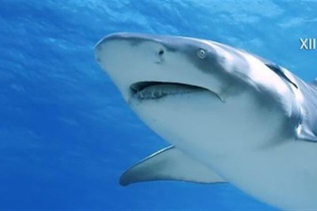 Международный PR-фестиваль-2014 состоится 10-11 апреля в Radisson Hotel