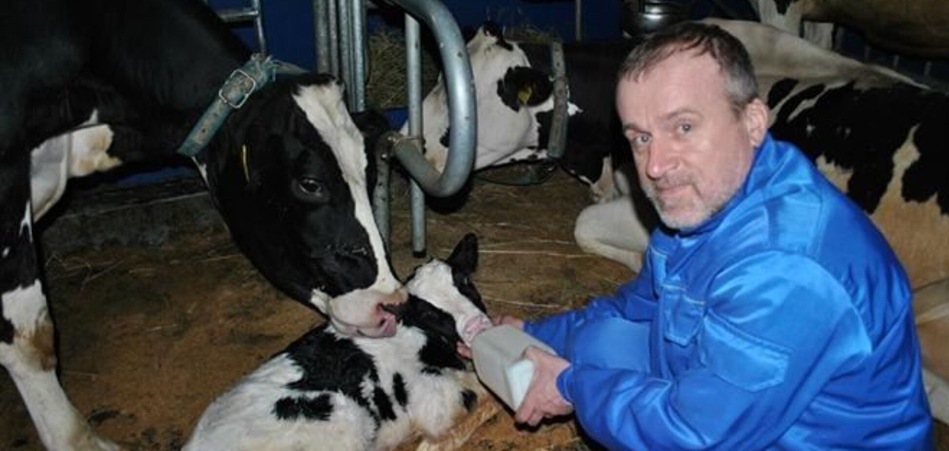 Молоко с фермы Януковича возят на Майдан