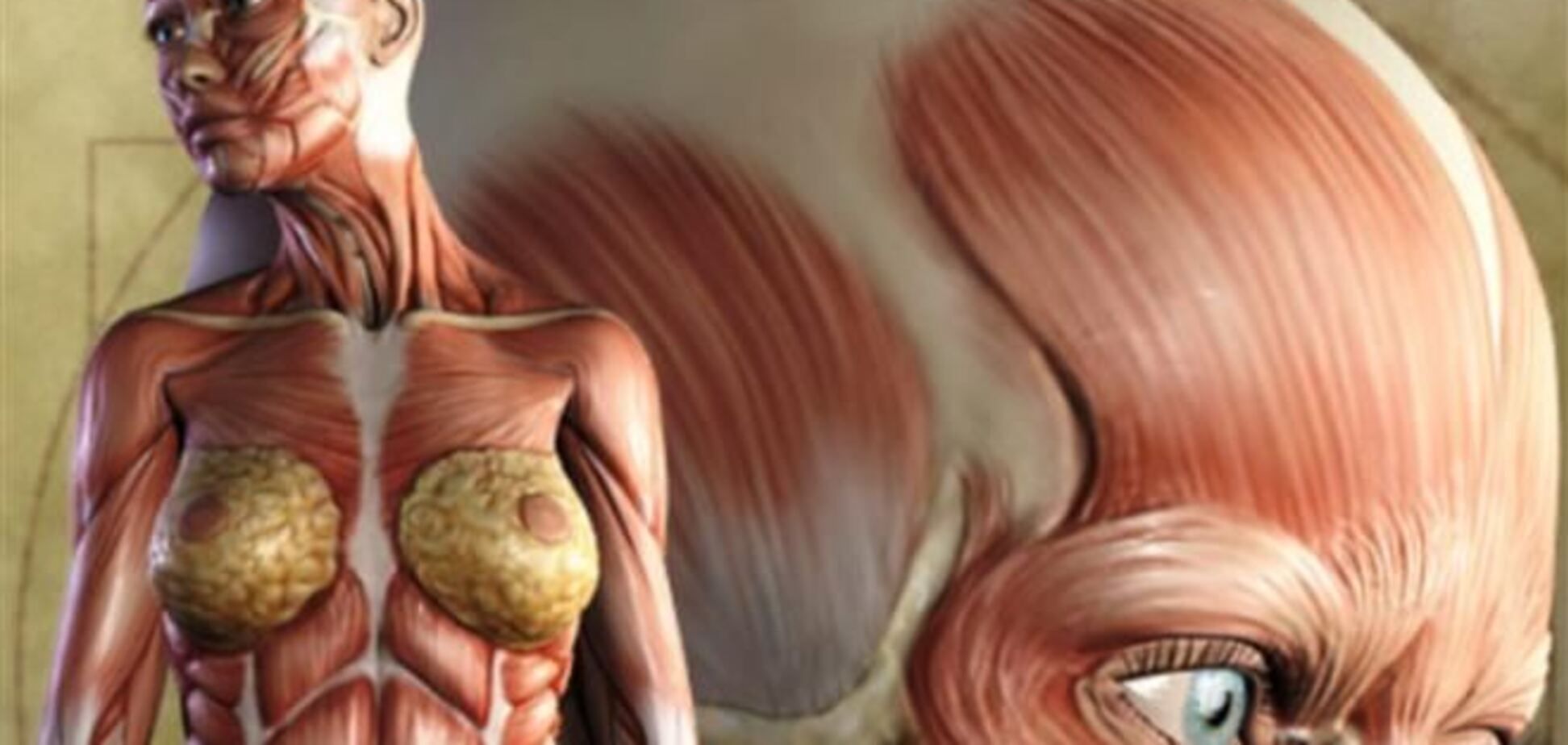 10 самых заметных 'шрамов', оставленных на теле человека эволюцией
