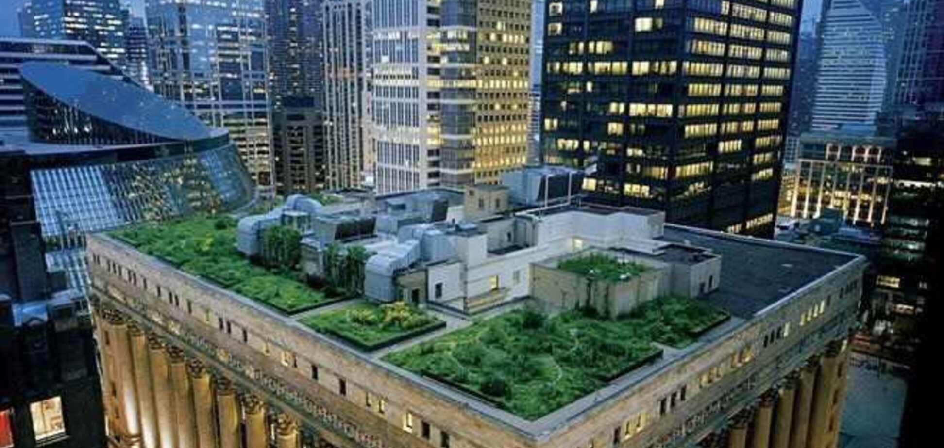 Цветы на крыше дома