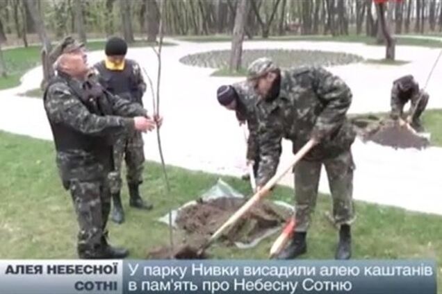 В Киеве появилась каштановая аллея Небесной Сотни