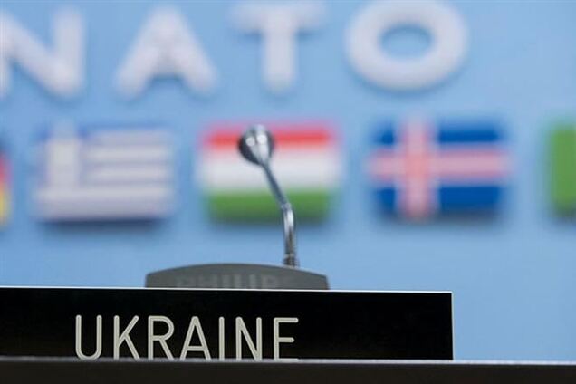 Украинцы Америки просят Вашингтон предоставить Киеву статус союзника НАТО