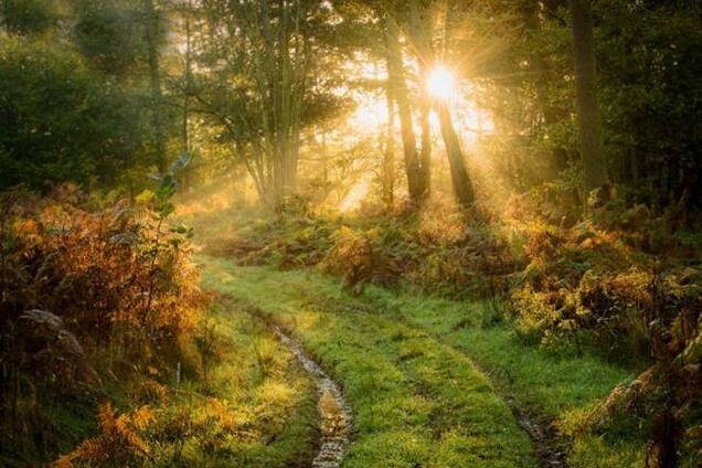 Переможці конкурсу 'Светолюбітелі'