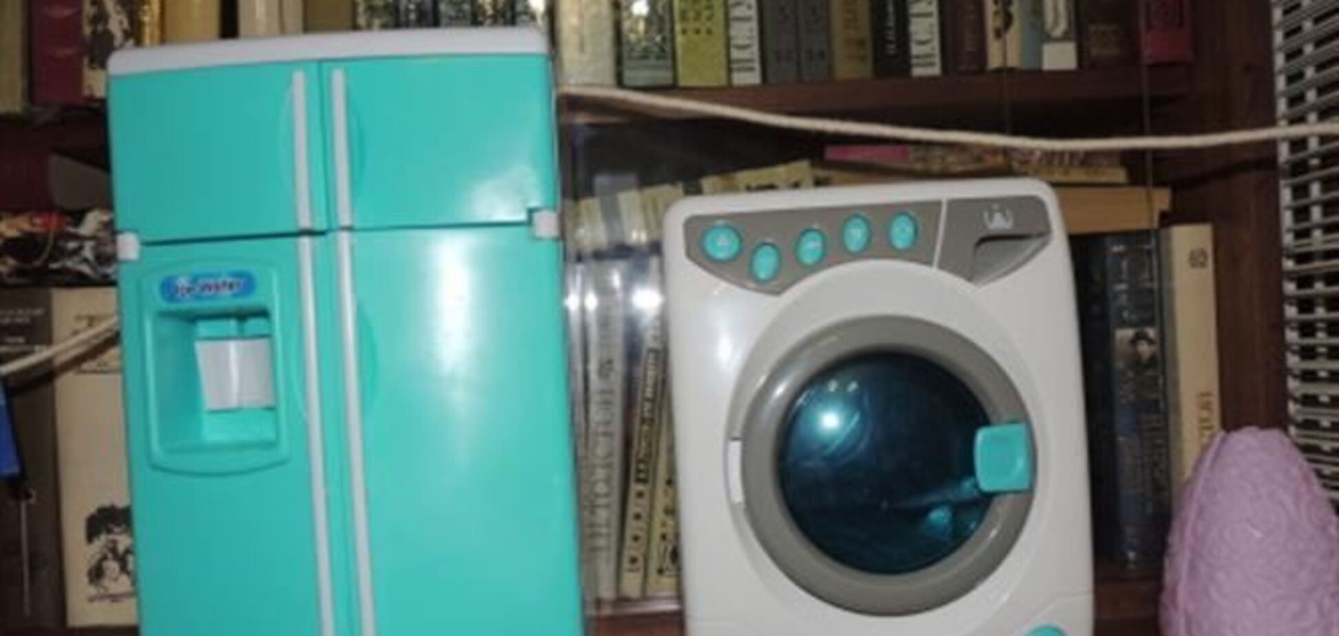 Украинцы заводят мини-бизнес по аренде собственных стиралок и холодильников