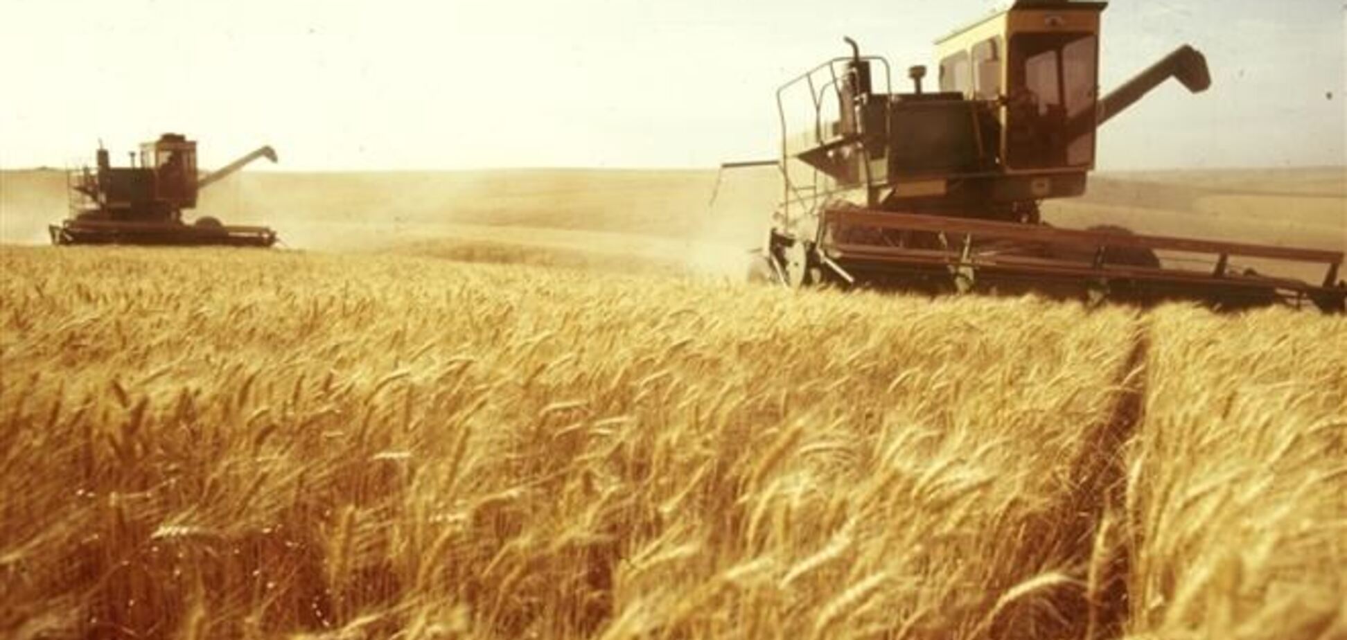 Украина будет ежегодно зарабатывать на экспорте продовольствия в ЕС 340 млн. евро 