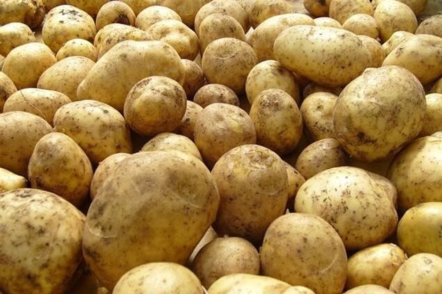 Россия забраковала украинский картофель