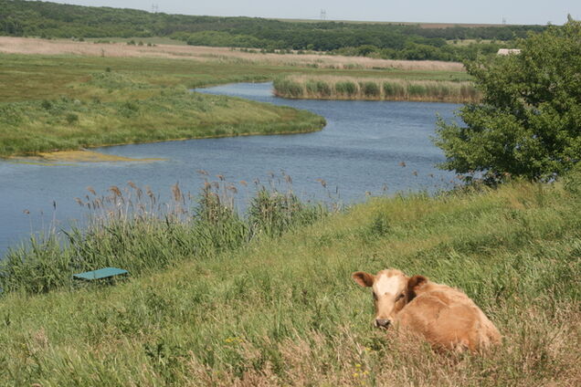 Семь донецких сел передумали присоединяться к Днепропетровщине