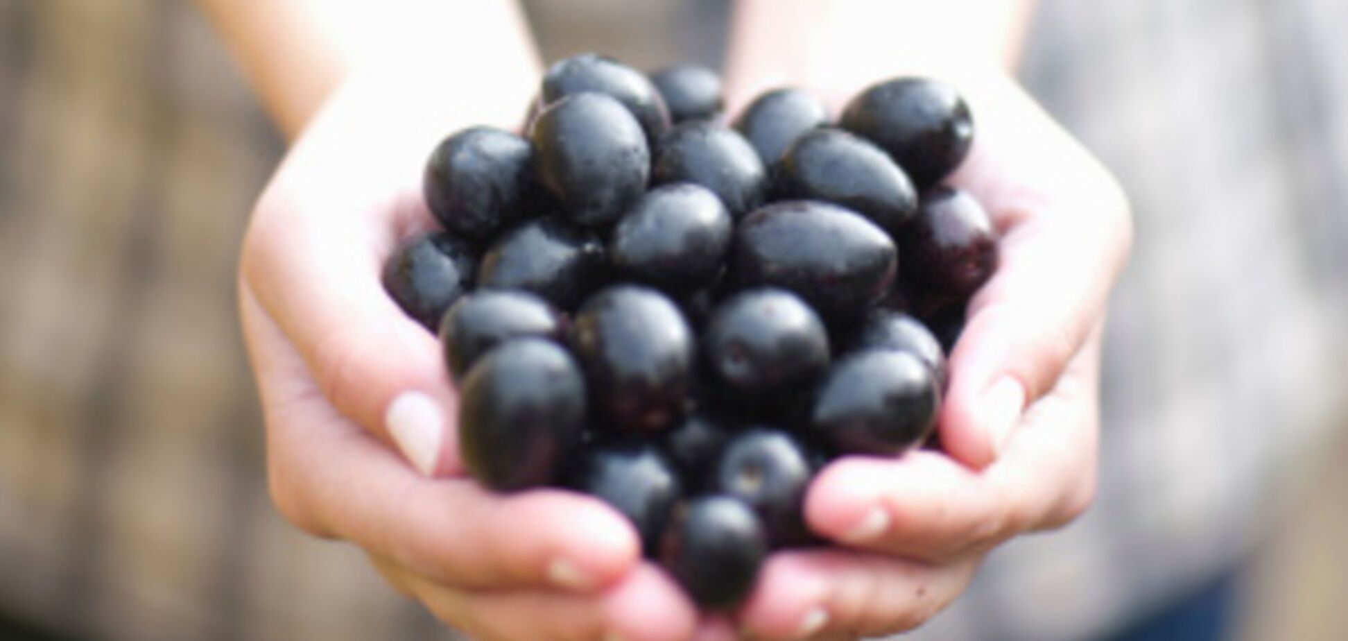 Чем оливки полезны для крови человека