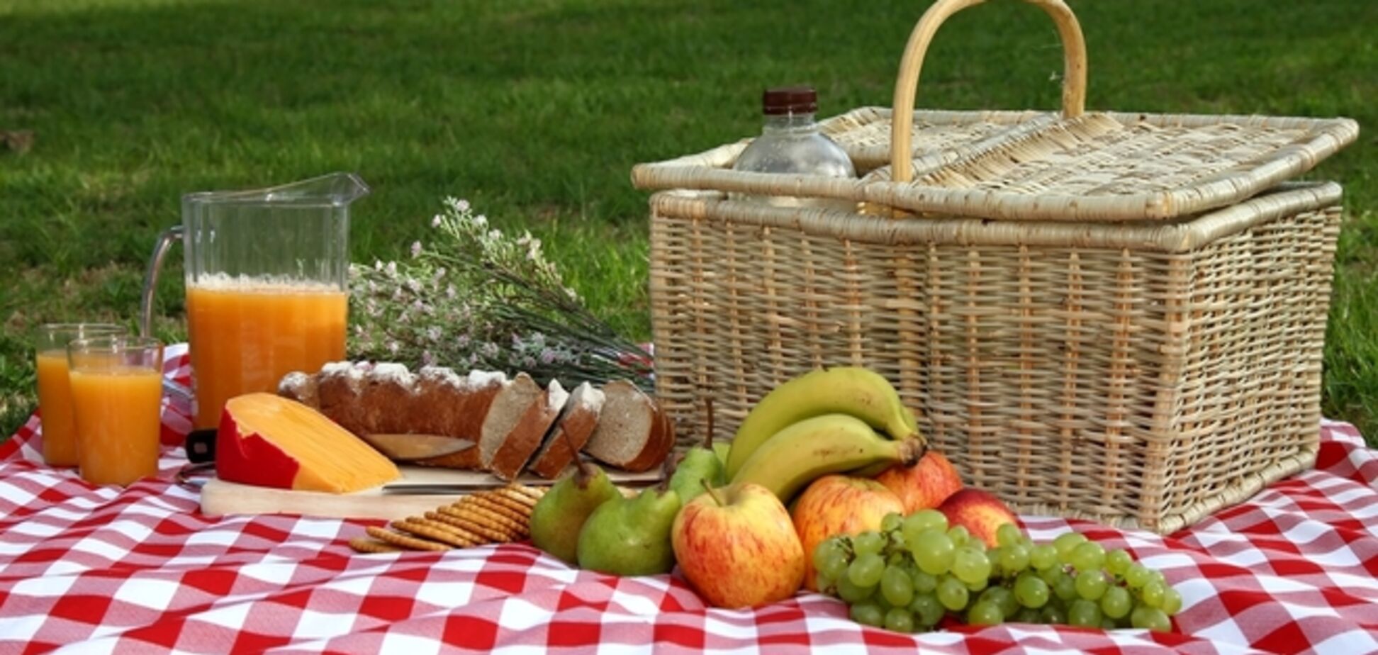 9 советов для идеального пикника