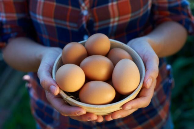 Яичная скорлупа— отличное удобрение для растений