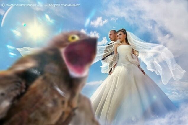 Самые смешные свадебные фотографии