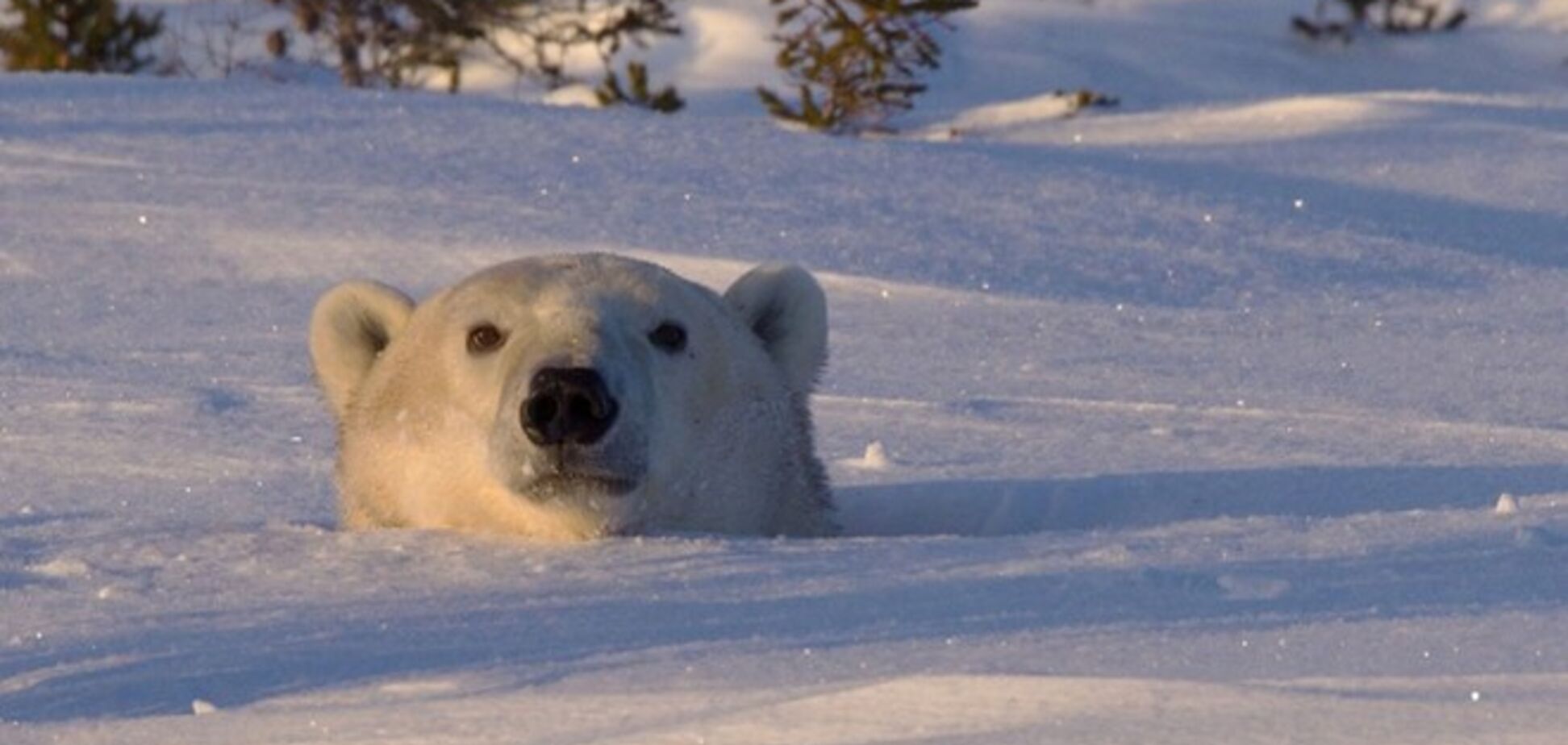 Фотоконкурс від журналу National Geographic Traveler 2014