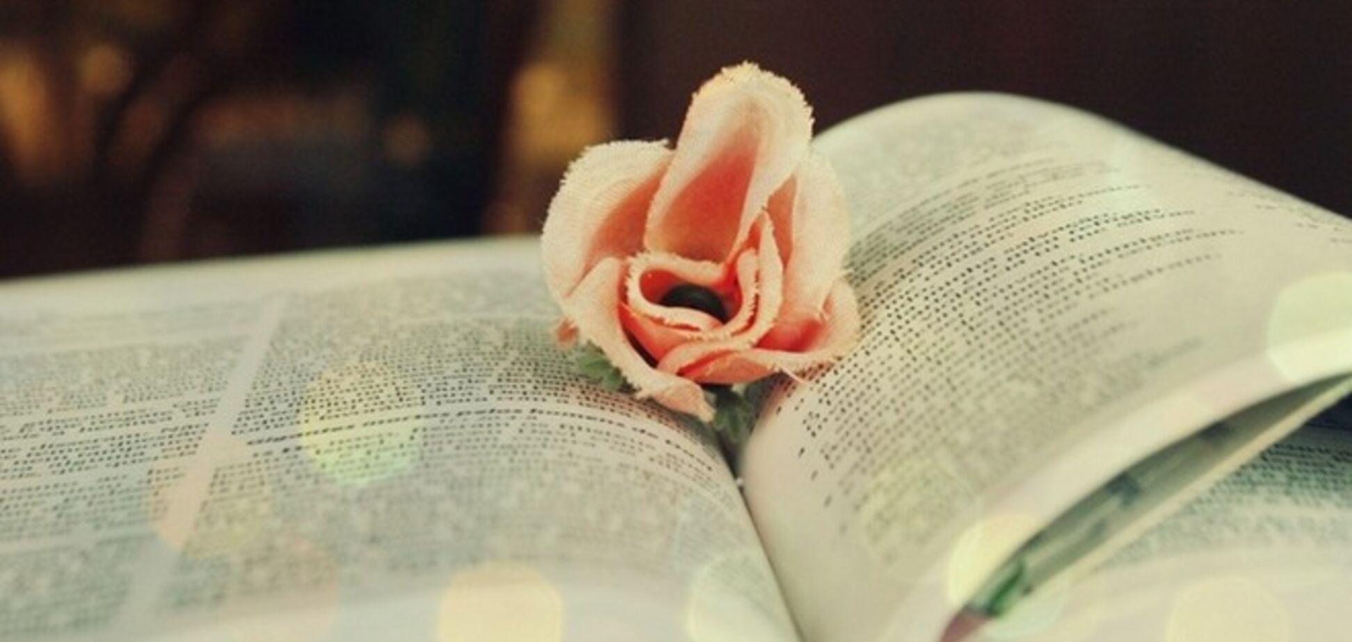 8 книг, читаемых на одном дыхании