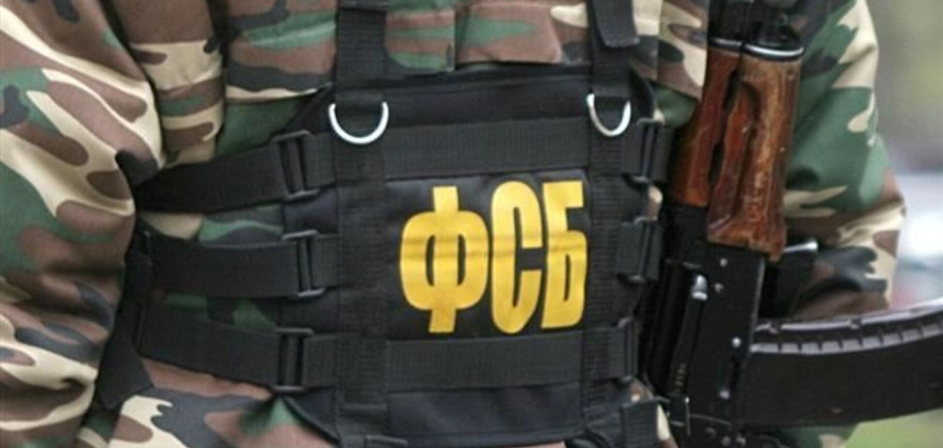 Группа ФСБ была направлена в Киев для воздействия на Януковича