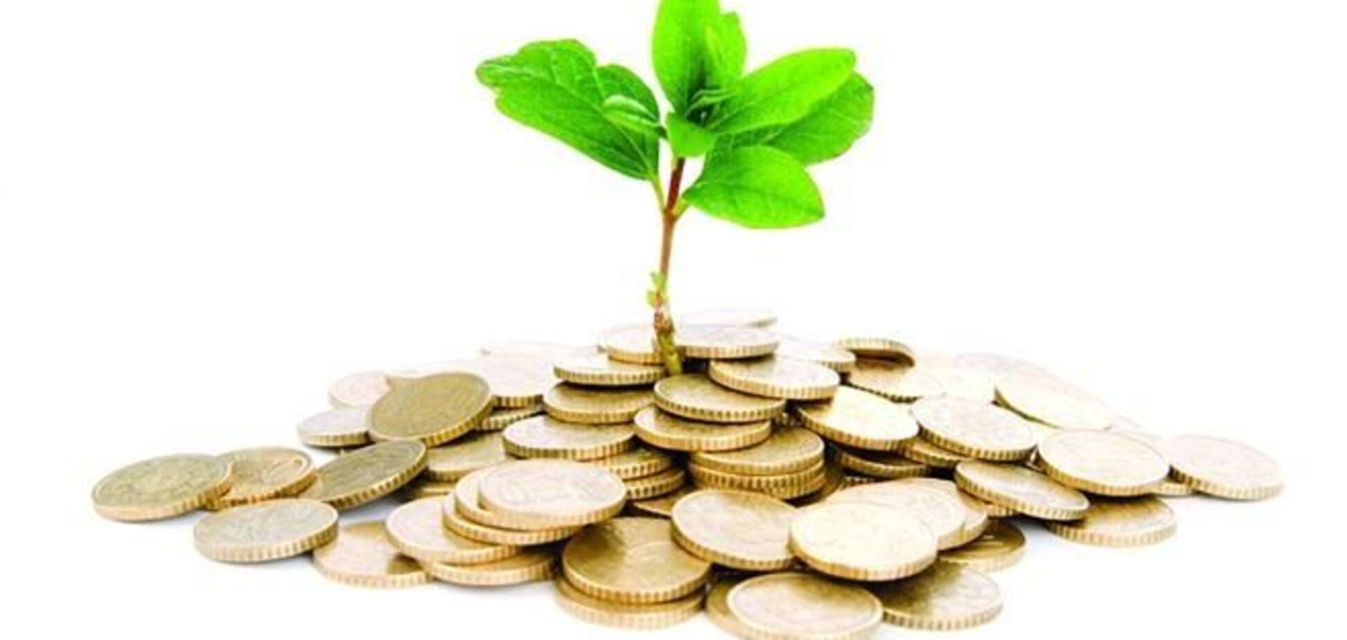 Эксперты рассказали, как заработать на своих сбережениях