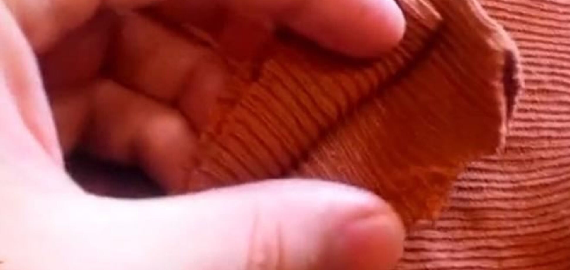 Россияне прислали детям крымчан 25 тонн обрезанных колгот