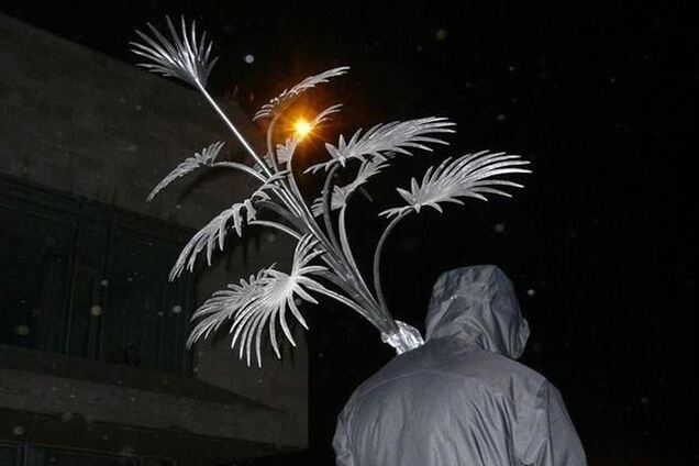 Сепаратисты украли символ Донецкой области - пальму Мерцалова