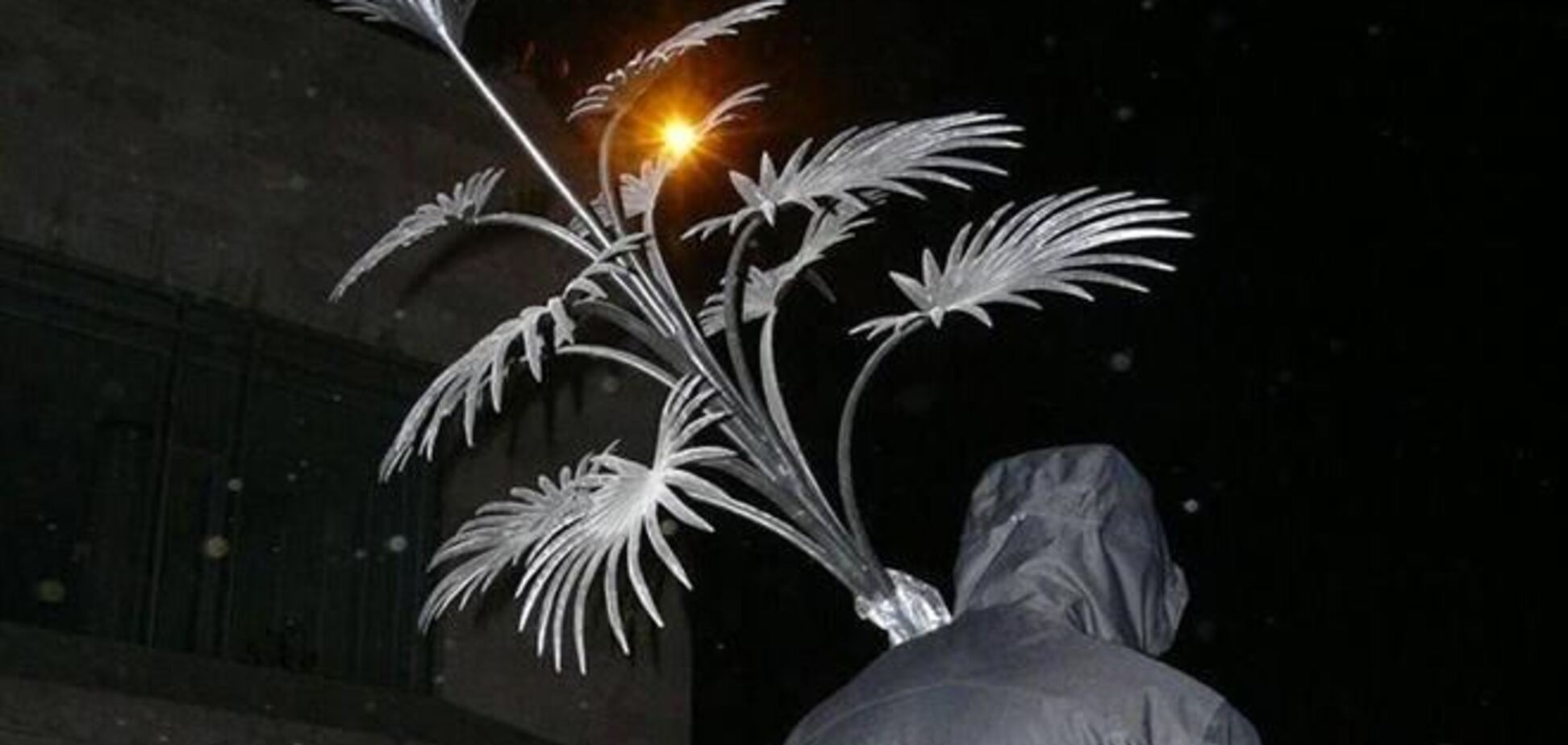 Сепаратисты украли символ Донецкой области - пальму Мерцалова