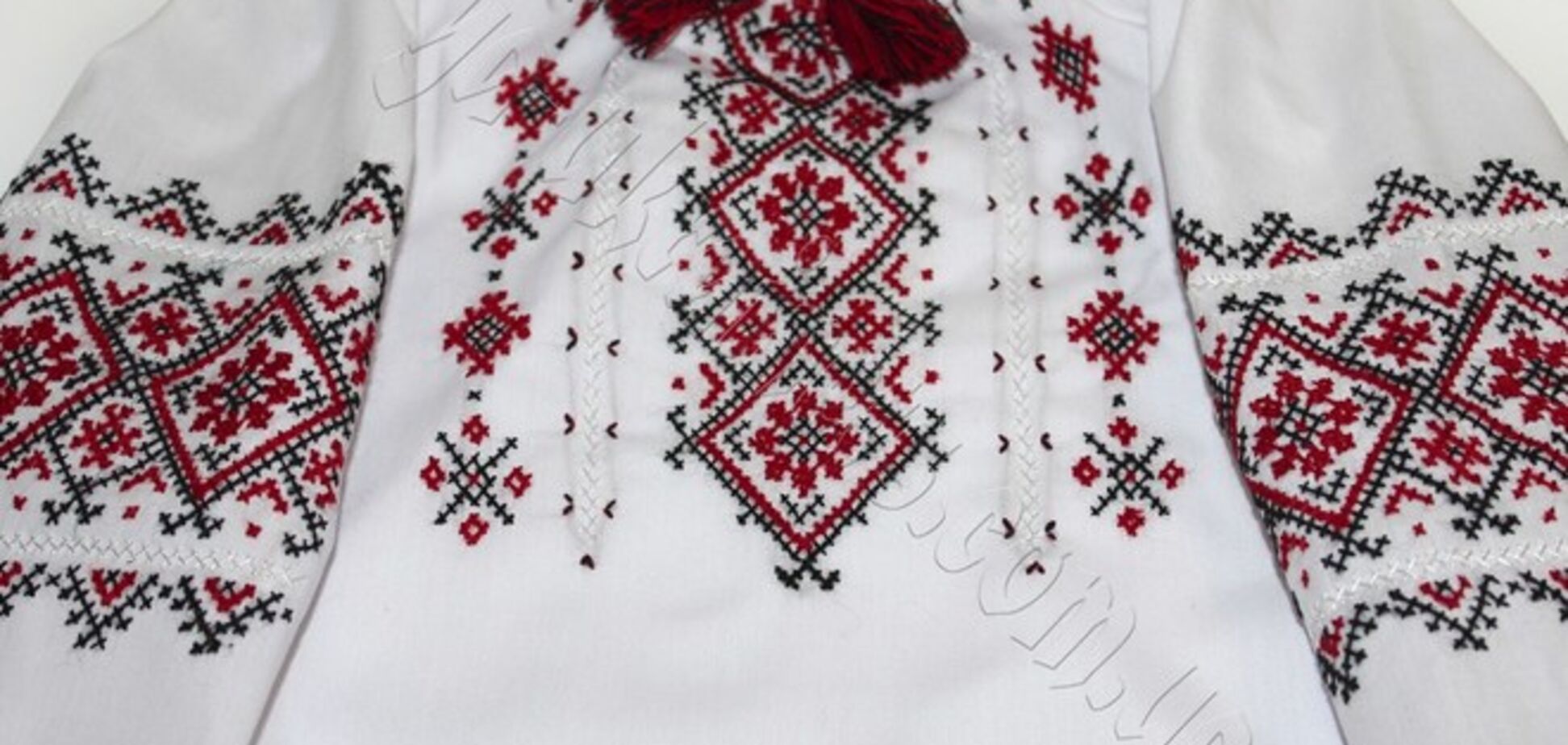 У Севастополі вчитель вигнав двох школярок у вишиванках з уроку, назвавши їх фашисткою