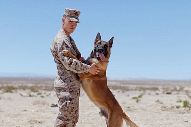 Самый верный друг солдата