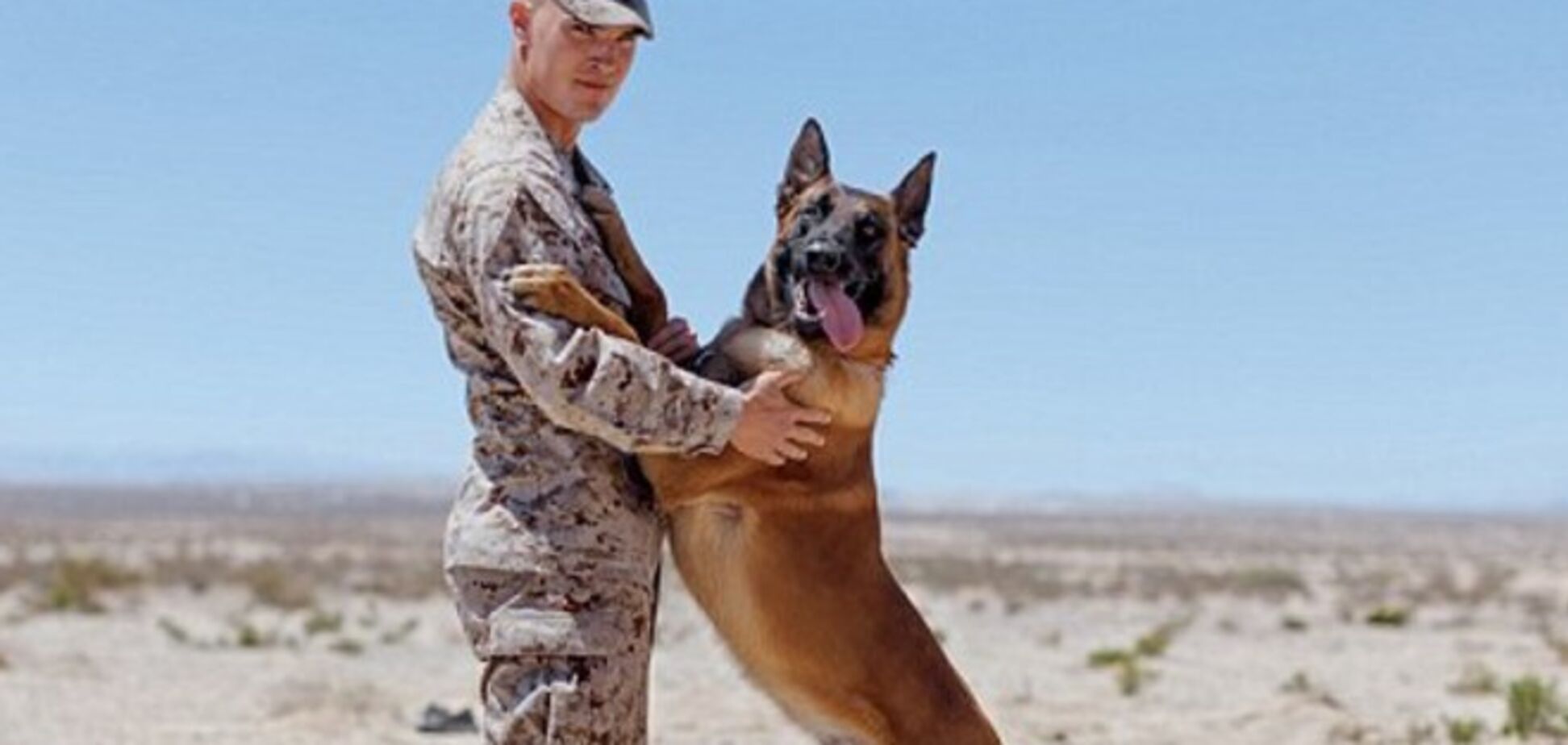 Самый верный друг солдата