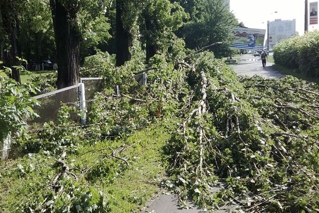 В Киеве ураган валил деревья и перекрывал дороги