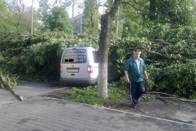 В Киеве из-за бури повалены деревья, разбиты несколько авто