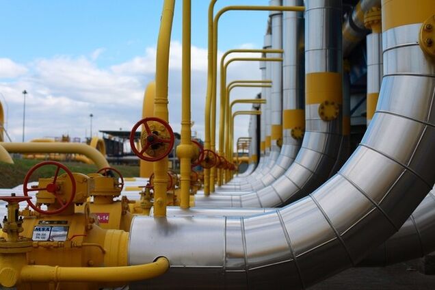 Медведев признал, что Украина платит за газ 'немаленькую' цену