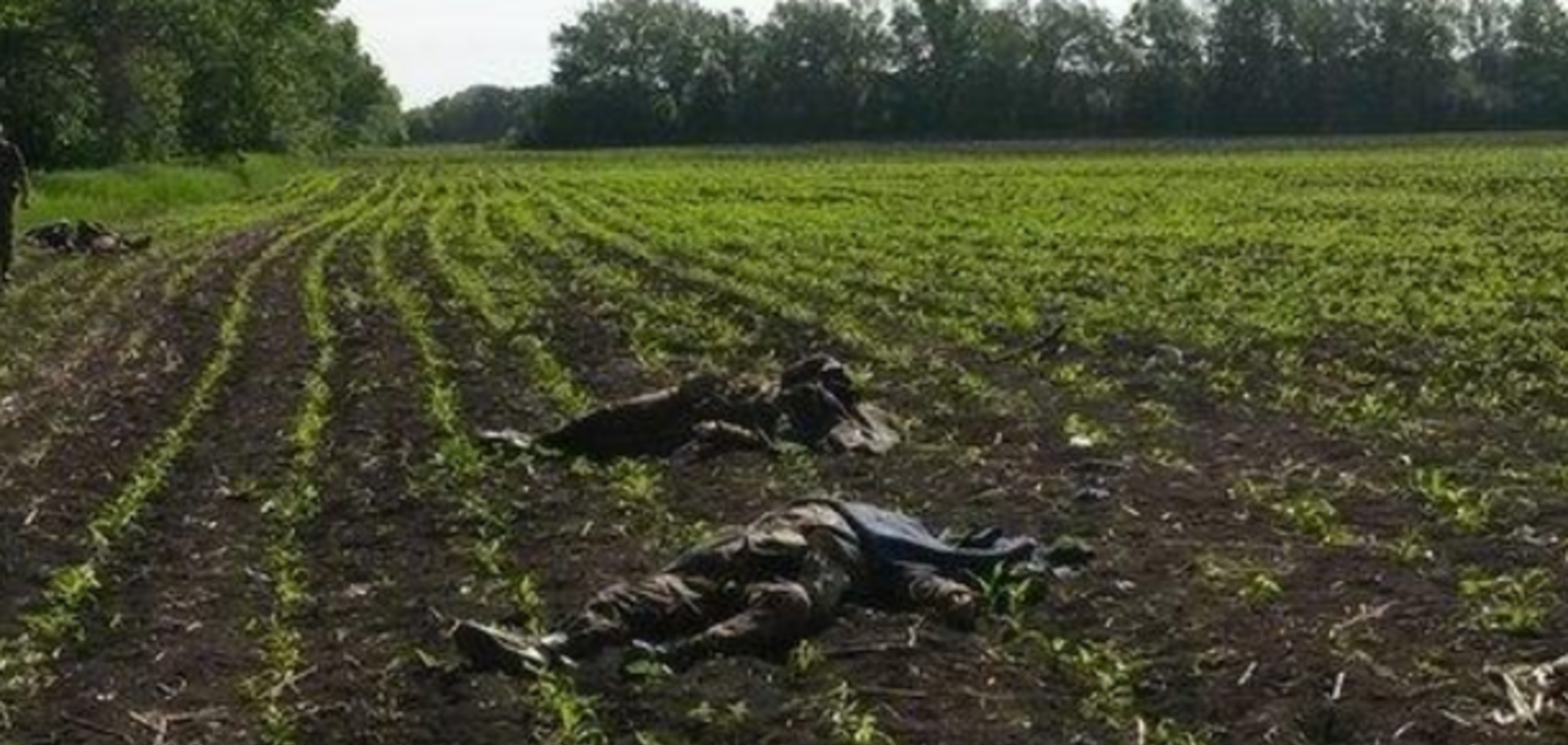 Турчинов підтвердив, що на Донеччині терористи вбили 13 військових