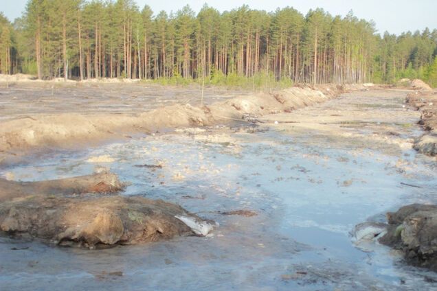 О чем плачет янтарь?