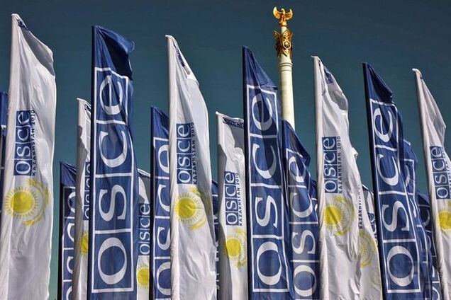 Наблюдатели ОБСЕ огласят предварительные выводы по выборам днем 26 мая