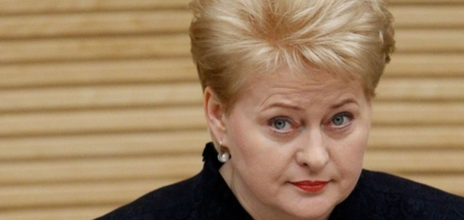 Глава Литвы поздравила украинцев с демократическими президентскими выборами
