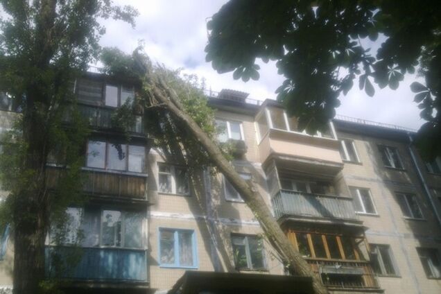 В Киеве на жилой дом упало 30-метровое дерево