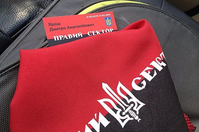 Депутат Госдумы: миф о 'Правом секторе' придумали СМИ Кремля