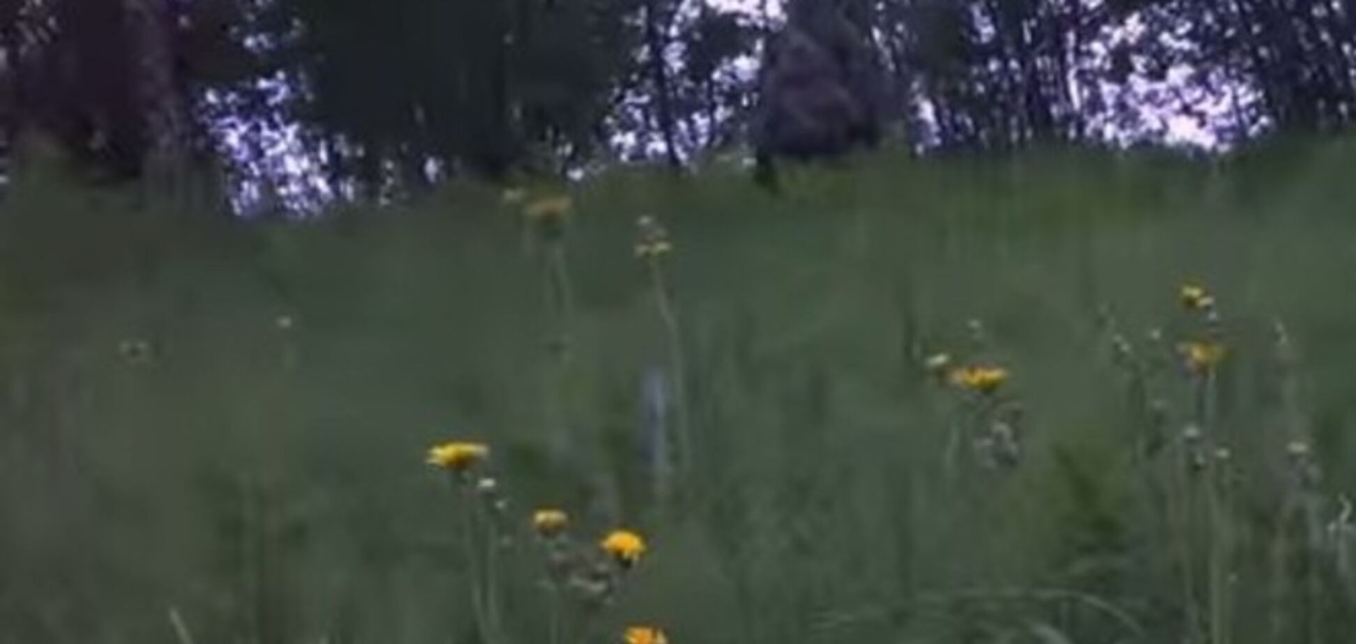 Норвезька мисливець зняв на відео 'снігової людини'