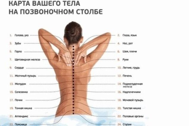 6 золотых правил здоровья от японского профессора Кацудзо Ниши