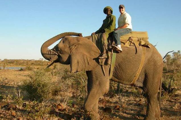 Туристам упростили поездку в Африку